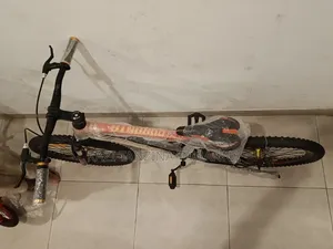Brand New Cycle for Sell