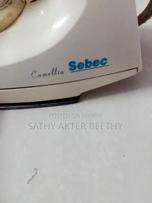 Electronic Iron