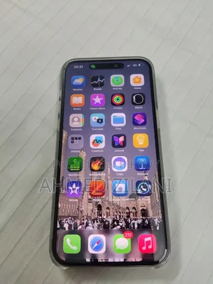 Apple iPhone 15 Pro Max 256 GB Gray