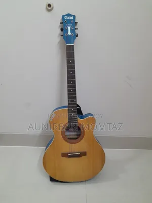Givson Venus অ্যাকোস্টিক গিটার
