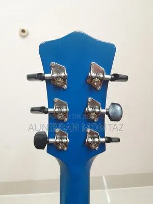 Givson Venus Acoustic Guitar