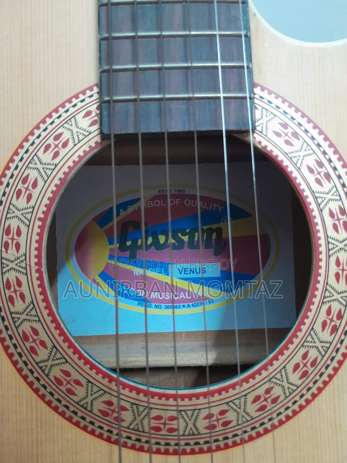 Givson Venus Acoustic Guitar
