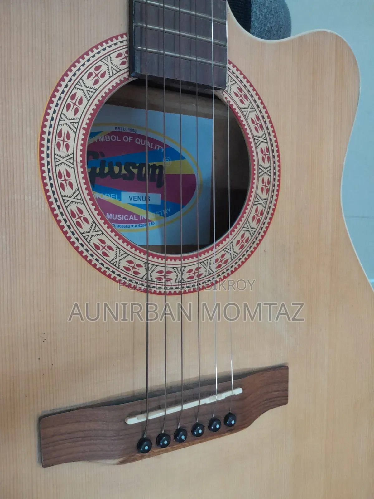 Givson Venus Acoustic Guitar