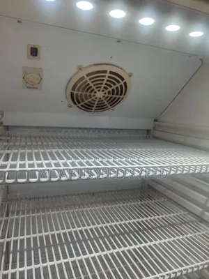 Big Size Fridge in Working Condition