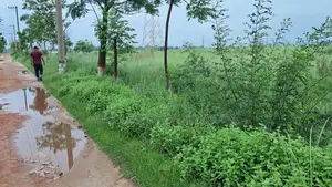 সিলিকন সিটি তে ৩.২৫ কাটা দক্ষিণমুখী প্লট বিক্রয়