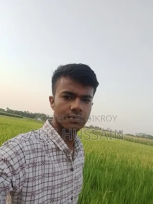 মোঃ আলী হোসেন