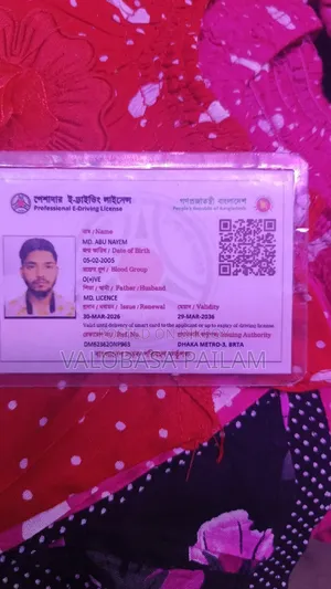 আমি একজন পেশাদার ড্রাইভার