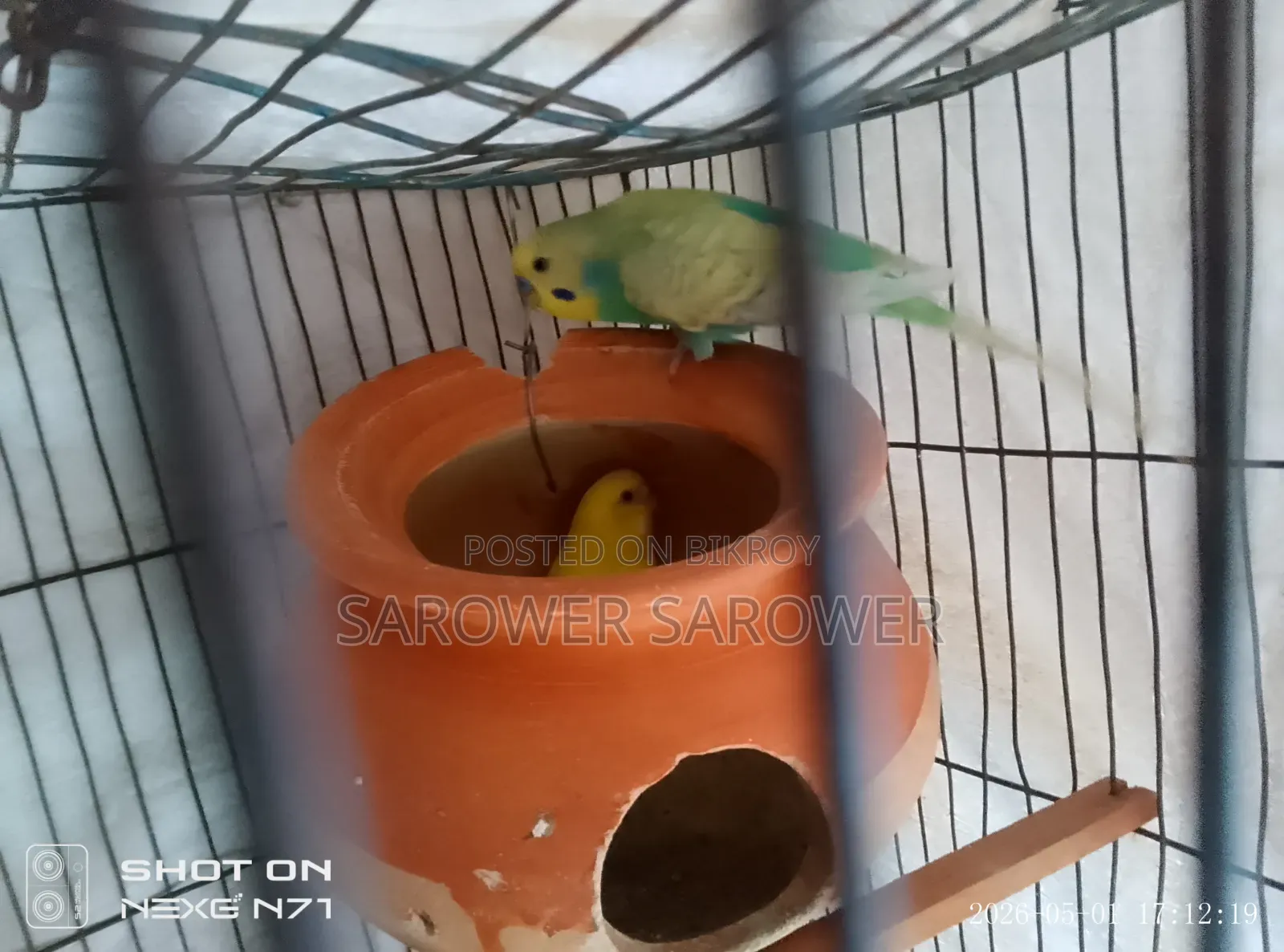 বাজিগর বিক্রি