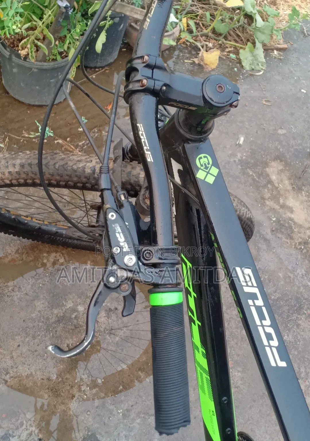Focus 5.0 cycle