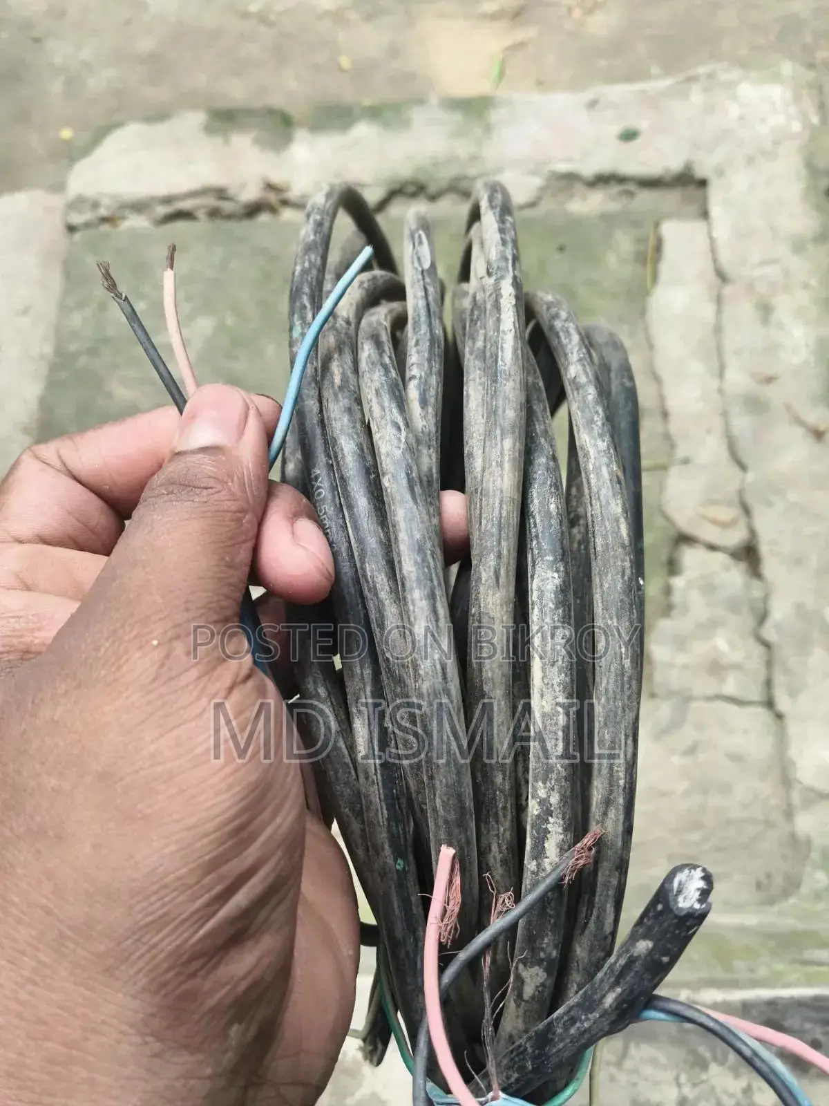 জল মটরের তার