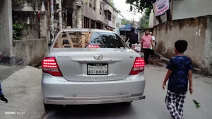 Toyota Axio 2008 Silver
