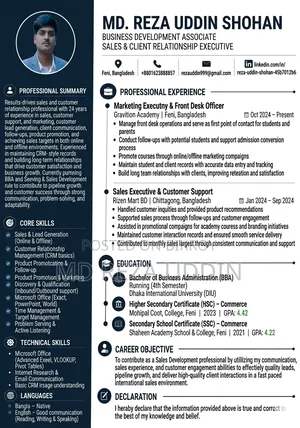 Sales Executive