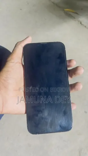 Apple iPhone 13 Pro Max 256 GB Silver