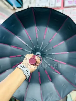 Umbrella 12 Ribs (3:2)