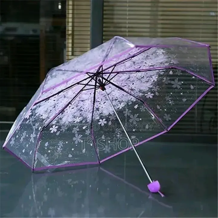 স্টাইলিশ ট্রান্সপারেন্ট ছাতা