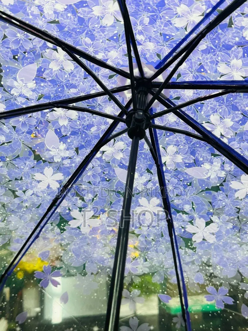 স্টাইলিশ ট্রান্সপারেন্ট ছাতা