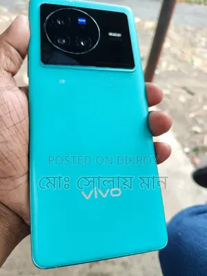 Vivo X80 256 GB
