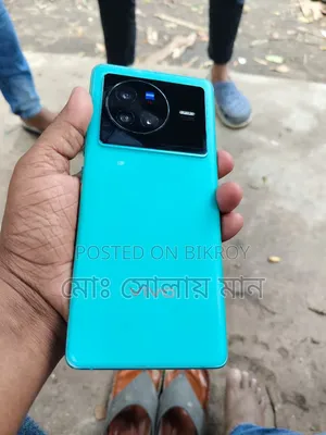 Vivo X80 256 GB