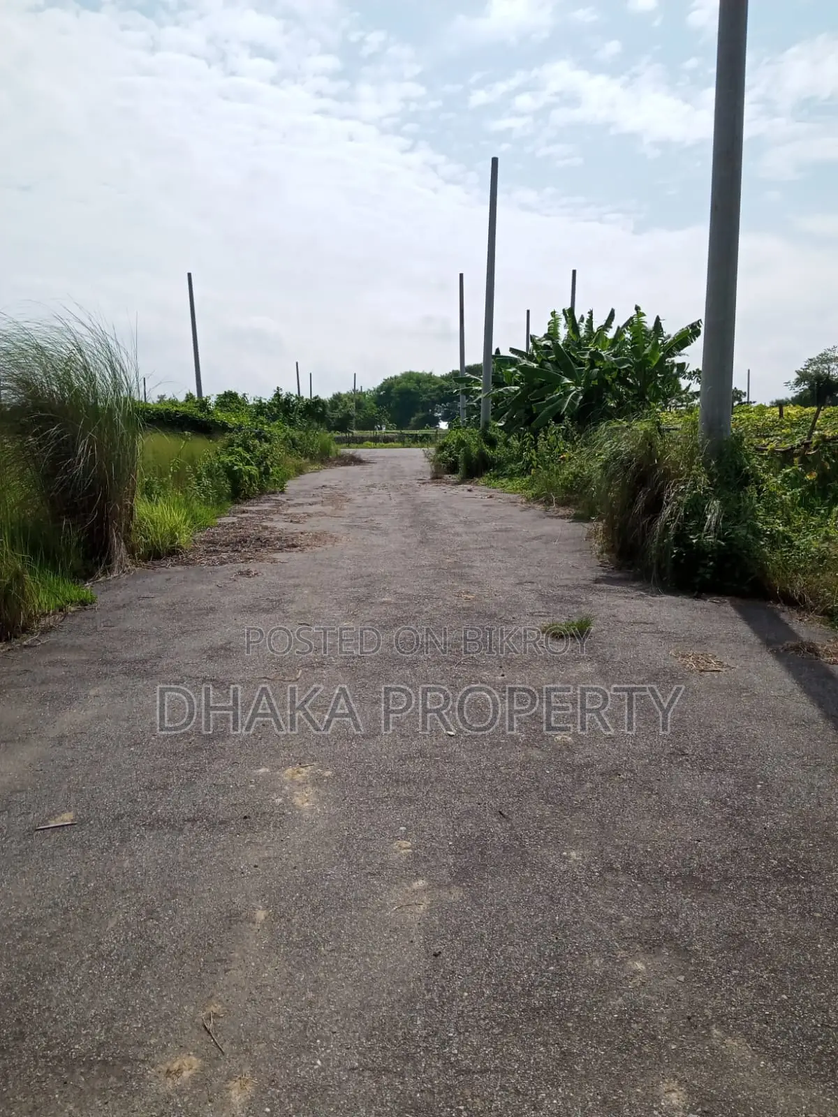 সেক্টর-২৪ এ পার্কের উত্তর দিকে ৩ কাঠার ফ্রন্ট ওপেন প্লট