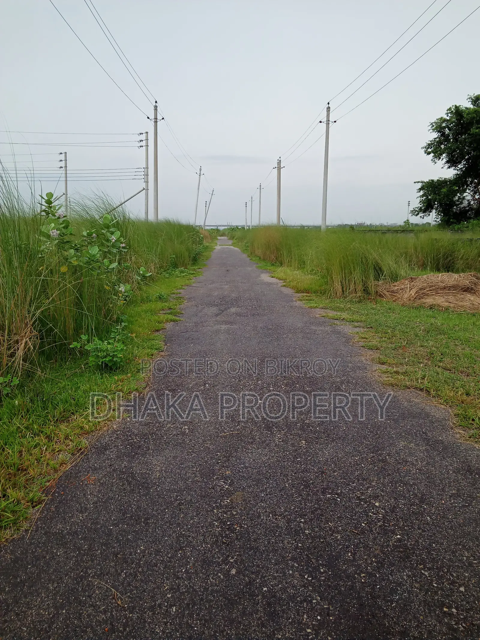 30ft Rd 3 Katha Park West At Sector-17/A