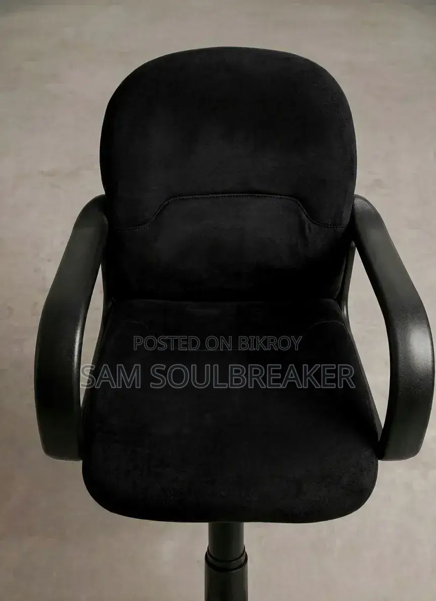 Computer/Office Chair