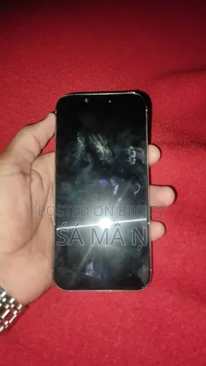 Apple iPhone 15 Pro Max 256 GB Silver