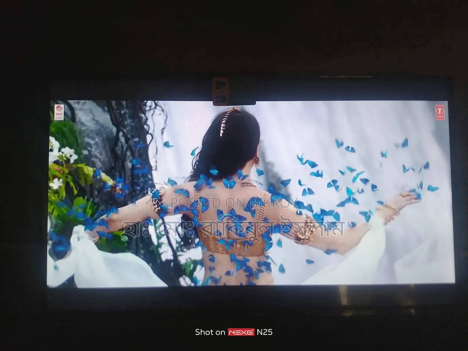 Vision TV