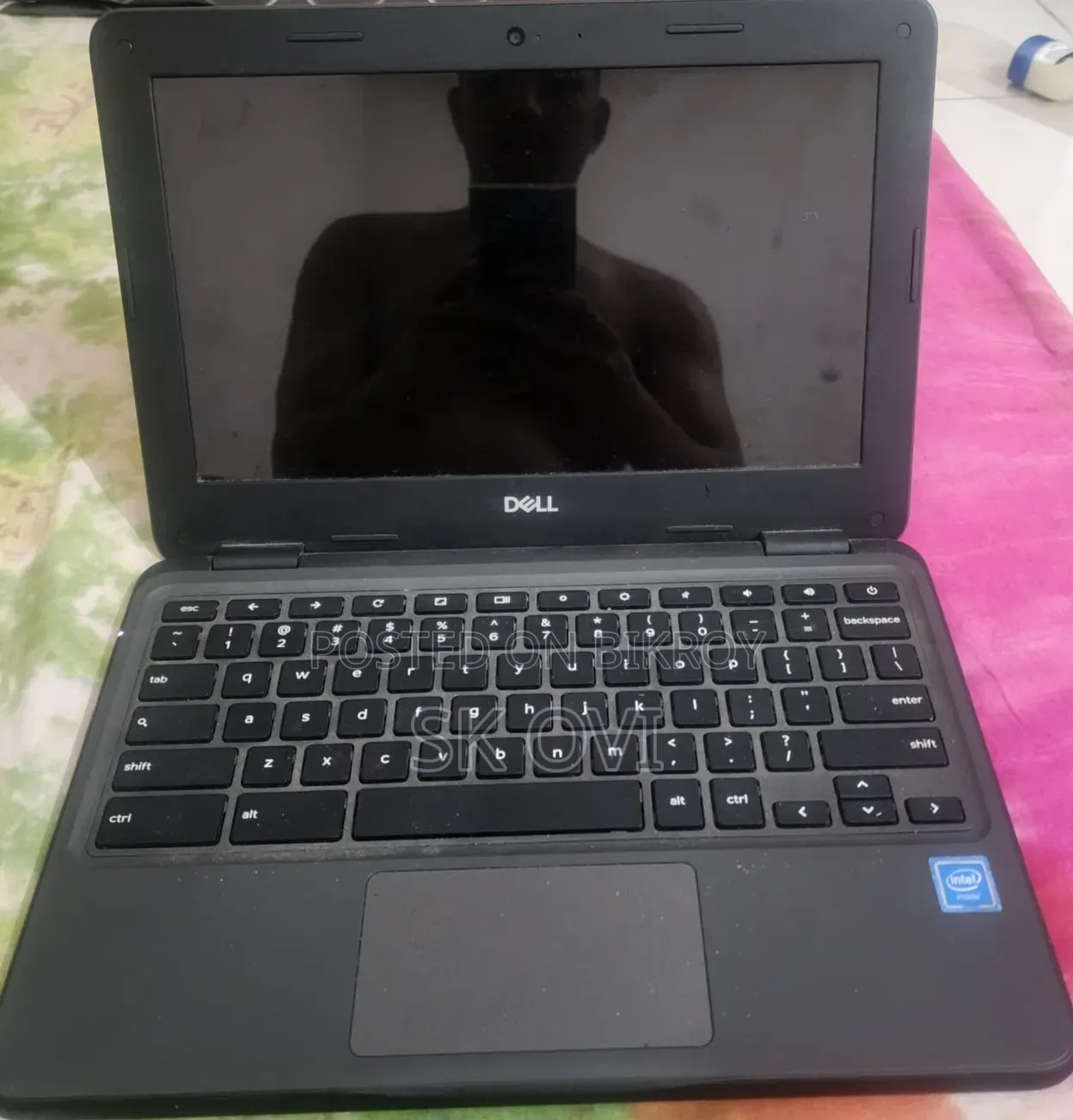 Laptop Dell Chromebook 3100 4GB Intel Celeron SSD 256GB