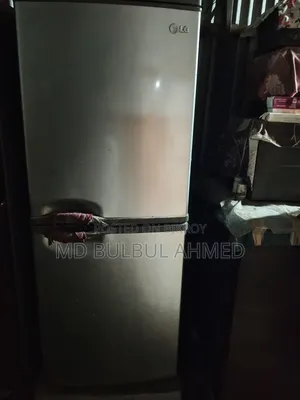 Lg Fridge ফ্রিজ
