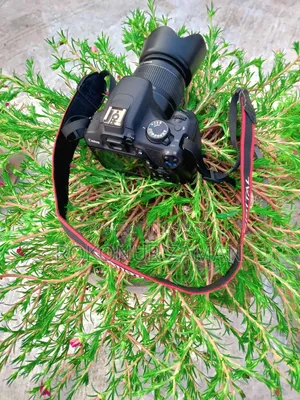 ক্যামেরা ক্যানন ১২০০ডি