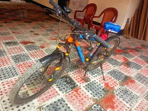 Used Bicycle
