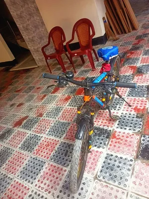 Used Bicycle