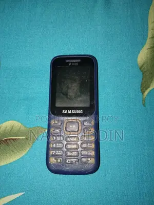 Samsung Guru Music 2