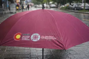 প্রিমিয়াম কোয়ালিটির স্টাইলিশ ছাতা বিক্রয়