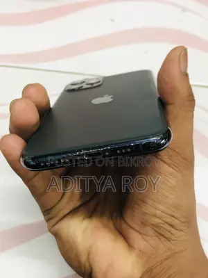 Apple iPhone 11 Pro Max 64 GB Green
