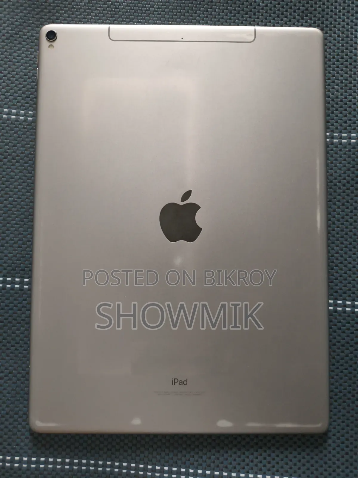 Apple iPad Pro 256 GB Gray