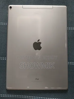 Apple iPad Pro 256 GB Gray