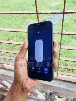 Apple iPhone 12 128 GB Blue