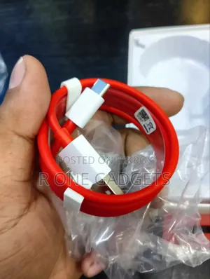One Plus 100 Watt Charger