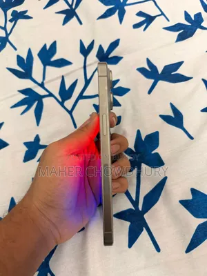 Apple iPhone 15 Pro Max 256 GB Silver
