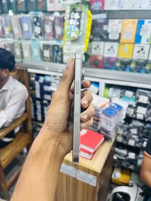 Apple iPhone 15 Pro Max 256 GB Silver