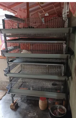 কোয়েল পাখির খাঁচা