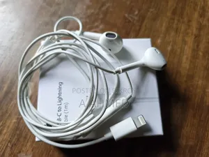 Apple Mobile Headphones