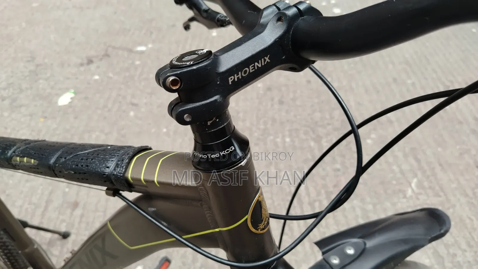 Phoenix Bicycle