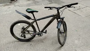 Phoenix Bicycle