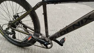 Phoenix Bicycle