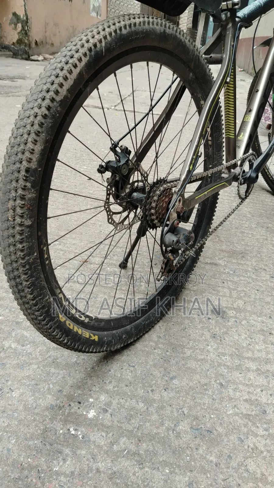 Phoenix Bicycle