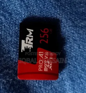 ২৫৬ জিবি মাইক্রোএসডি মেমোরি কার্ড