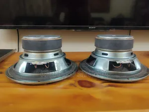 Woofer Speaker for Deep Bass