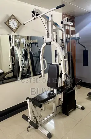১২ প্লেটসহ মাল্টি স্টেশন প্রফেশনাল জিম